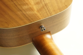 BT1 Walnut